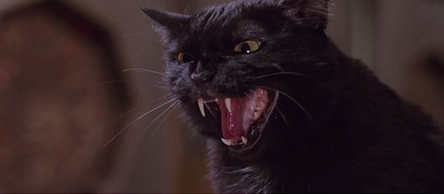 Team America: World Police - black cat growling