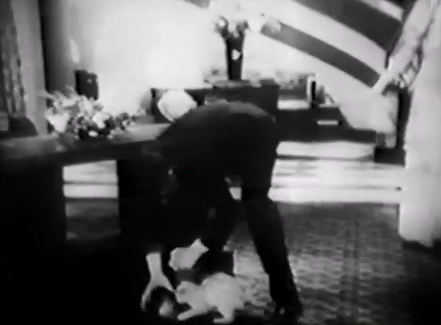 Techno-Crazy - Jimmy Monte Collins taking explosive ball of erg away from playful kitten