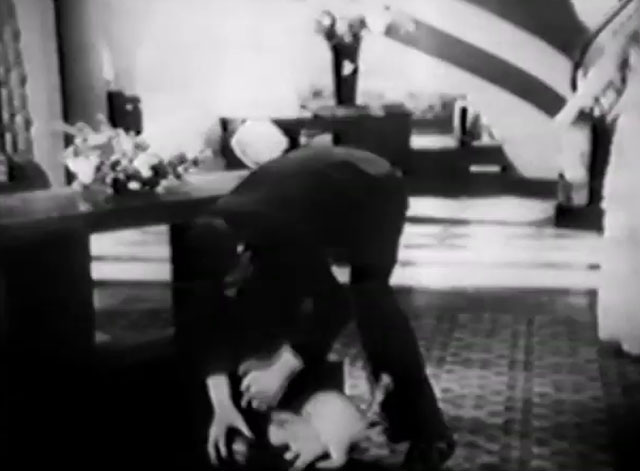 Techno-Crazy - Jimmy Monte Collins taking explosive ball of erg away from playful kitten