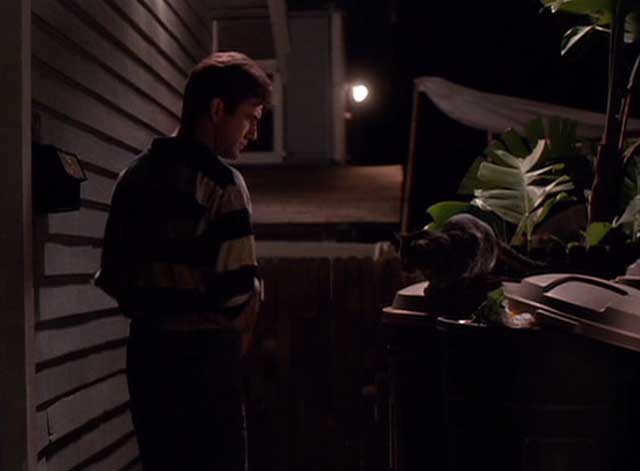 Tequila Sunrise - McKussic looking tabby cat sitting on garbage can