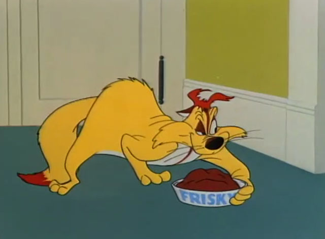 Terrier Stricken - devilish Claude Cat about to steal food from dog bowl