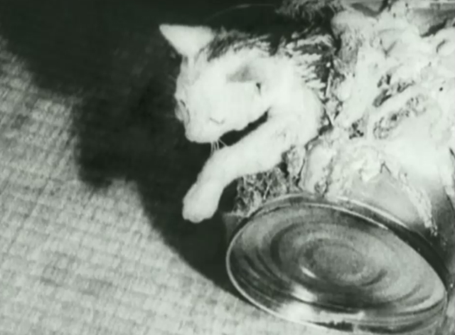 Tetsuo the Iron Man - white cat melding with can