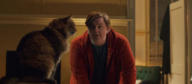 Thanksgiving - Manny Tim Dillon with longhair brown Maine Coon tabby cat Dewey Tonic on cat tree