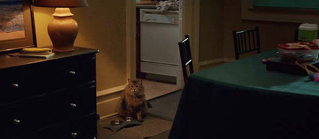 Thanksgiving - longhair brown Maine Coon tabby cat Dewey Tonic sitting next to bowl