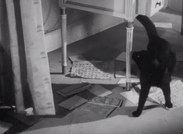 Thank You, Mr. Moto - black cat Chunkina looking behind curtain