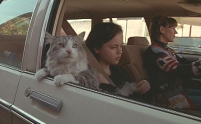 That Darn Cat (1997) - DC in car
