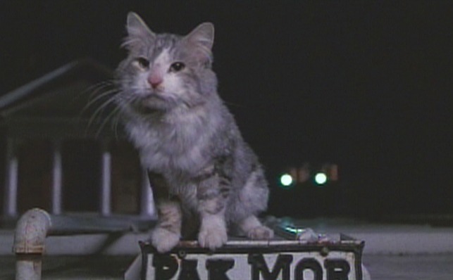 That Darn Cat (1997) - DC on garbage truck