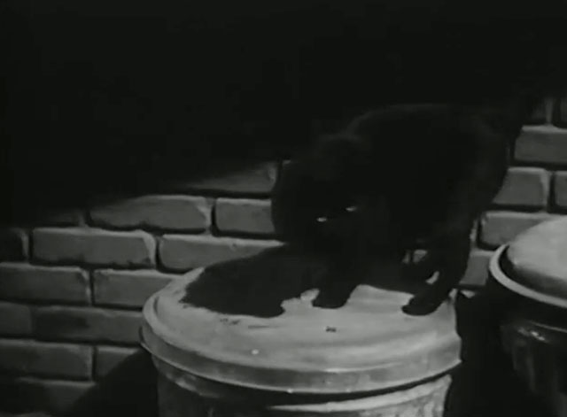 That's the Spirit - black cat on trash can