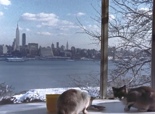 Thelonious Monk: Straight No Chaser - cats on windowsill with New York skyline