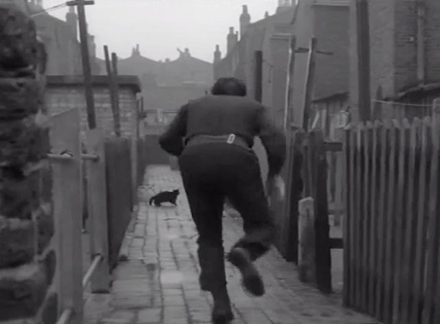 These Dangerous Years - Dave Wyman Frankie Vaughan running down alley with black cat