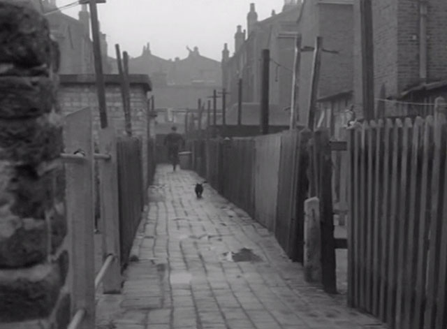 These Dangerous Years - black cat reemerging into alley after Dave Wyman Frankie Vaughan runs past