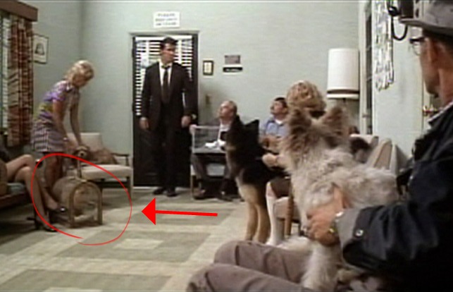 They Only Kill Their Masters