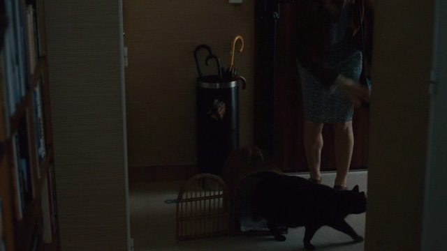 Things to Come - Nathalie takes black cat Pandora home