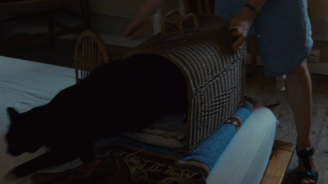 Things to Come - black cat Pandora leaving carrier