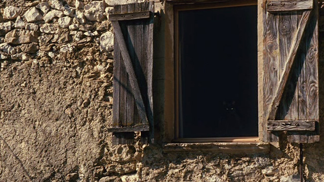 Things to Come - black cat Pandora in window