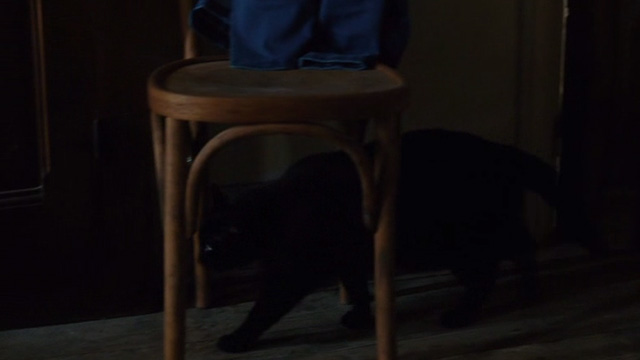 Things to Come - black cat Pandora returning to house