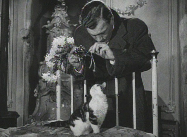 The Third Man kitten 1