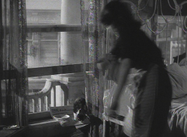 This Gun for Hire - Annie swings rag at tuxedo kitten