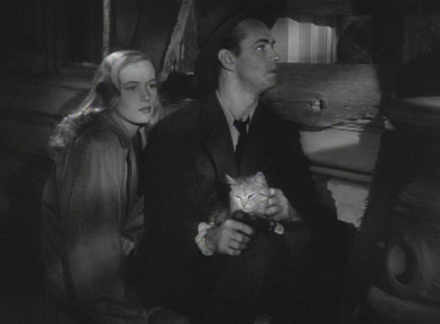 This Gun for Hire - tabby cat Toughie being petted by Raven