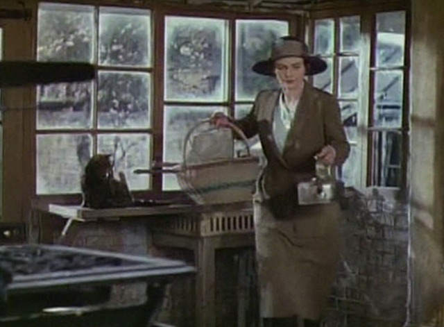 This Happy Breed - Percy cat in front of window