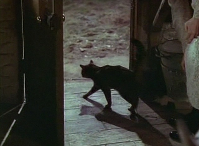 This Happy Breed - Percy cat heads outside