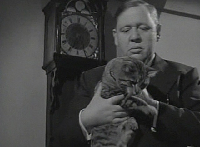 This Land is Mine cat