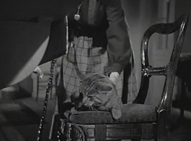 This Land is Mine cat on chair