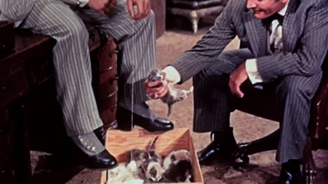 Those Redheads from Seattle - Johnny Gene Barry picking up grey and white tabby kitten from box of kittens