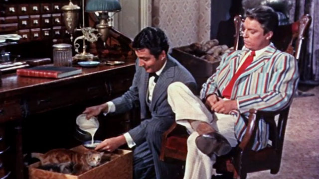 Those Redheads from Seattle - Johnny Gene Barry pouring milk into saucer for ginger tabby cat President McKinley and kittens in box with Joe Guy Mitchell