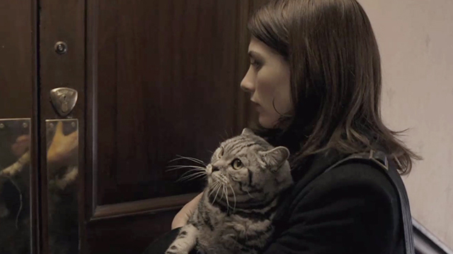 A Thousand Kisses Deep - silver British shorthair classic tabby Lily held by Mia Jodie Whittaker entering apartment