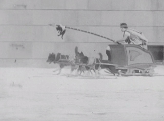 Three Ages - Buster Keaton dangles black cat from spear in front of dog team