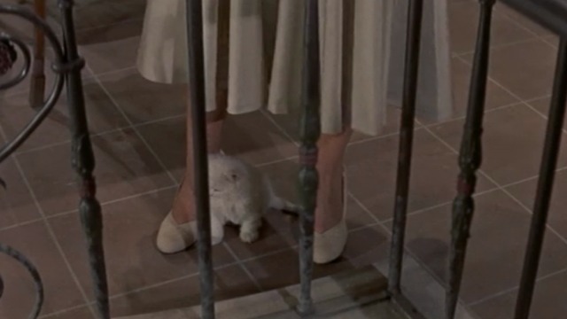 Three Coins in the Fountain - white Angora kitten at Frances' feet