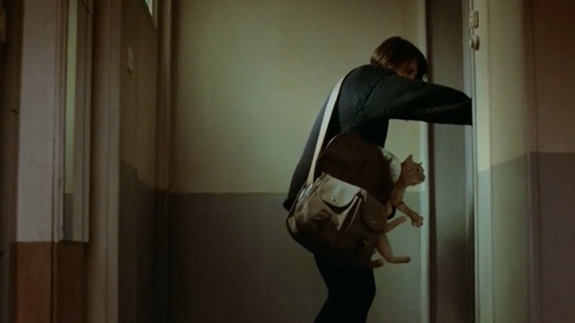 Three Colors: Blue - Julie Juliette Binoche holding orange tabby cat as she opens door