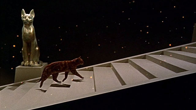 The Three Lives of Thomasina - marmalade tabby cat climbing heavenly stairs