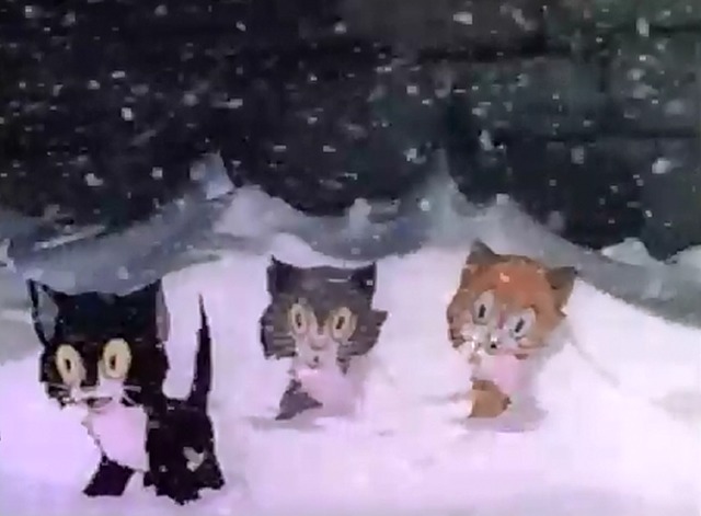 Three Orphan Kittens - kittens abandoned in the snow