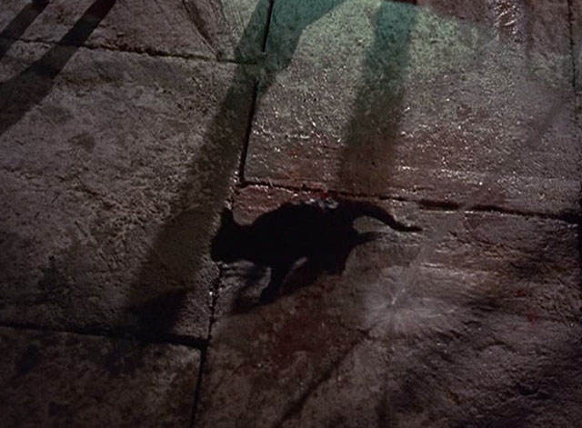 The Three Worlds of Gulliver - black cat on stone floor with water pouring down turning red