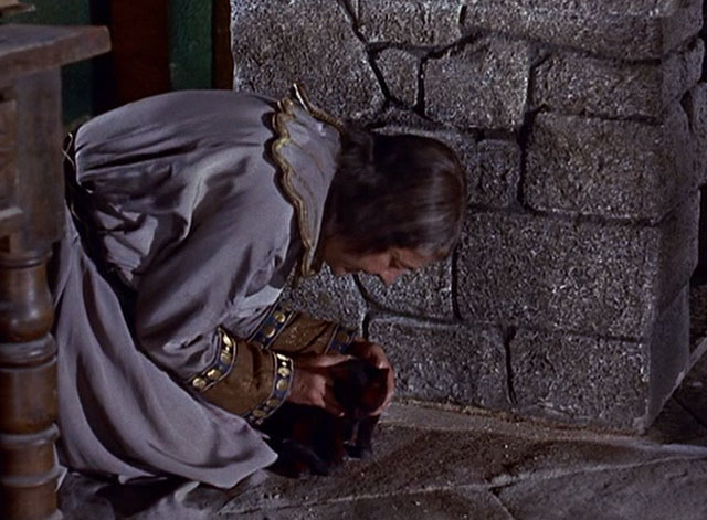 The Three Worlds of Gulliver - Makovan Charles Lloyd Pack on stone floor with black cat turned red