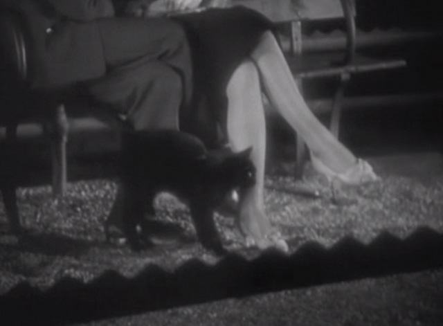 Thunderbolt - black cat pausing by woman's legs