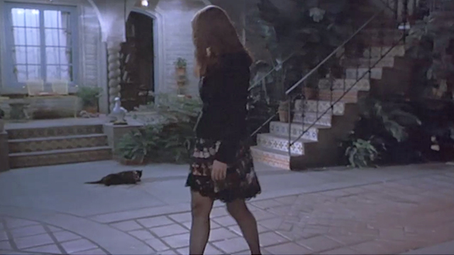 'Til There Was You - Gwen Jeanne Tripplehorn looking at black cat Cinders in courtyard