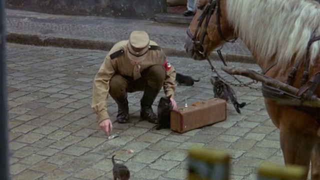The Tin Drum - Meyn Otto Sander picks up herring in street with cats