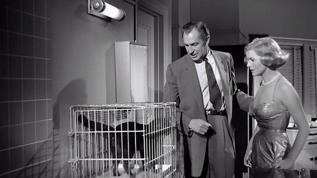 The Tingler - Dr. Chapin Vincent Price and Isabel Patricia Cutts looking at black cat in cage
