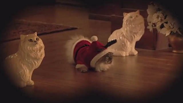 Tiny Christmas - Himalayan cat Tinselpaws between two cat statues