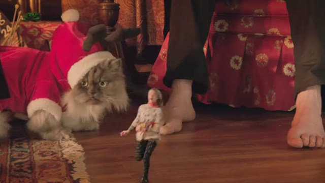 Tiny Christmas - Himalayan cat Tinselpaws looking at tiny running Barkley Lizzy Greene