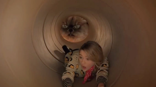 Tiny Christmas - Himalayan cat Tinselpaws looking at tiny Barkley Lizzy Greene in cardboard wrapping tube