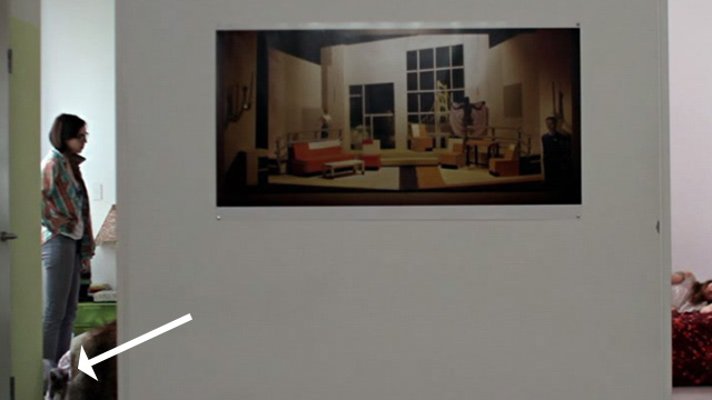 Tiny Furniture - gray hairless cat in corner of doorway