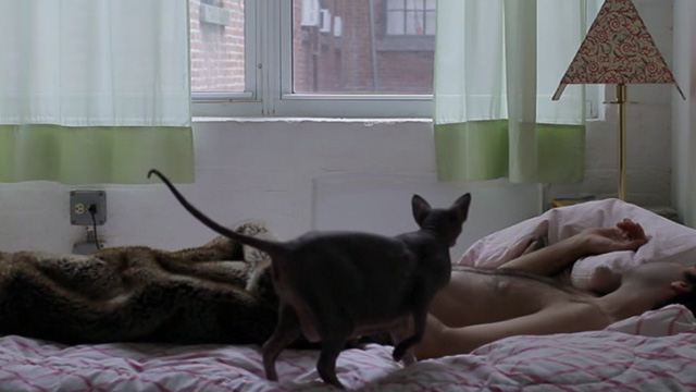 Tiny Furniture - gray hairless cat on bed with sleeping man