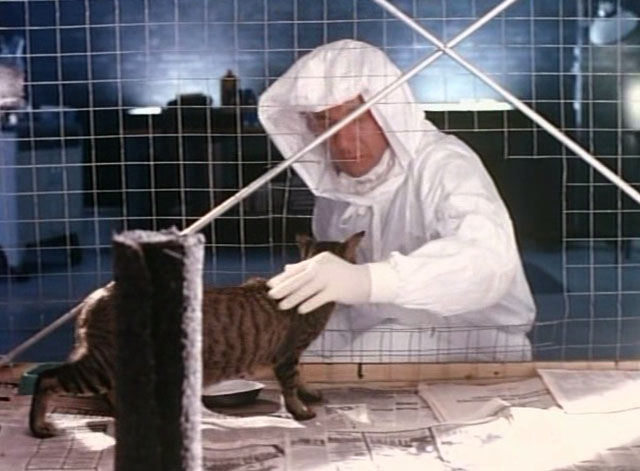 Tomcat: Dangerous Desires - Dr. Pace Serge Houde reaching into cage to get brown tabby cat with stubby tail Toby