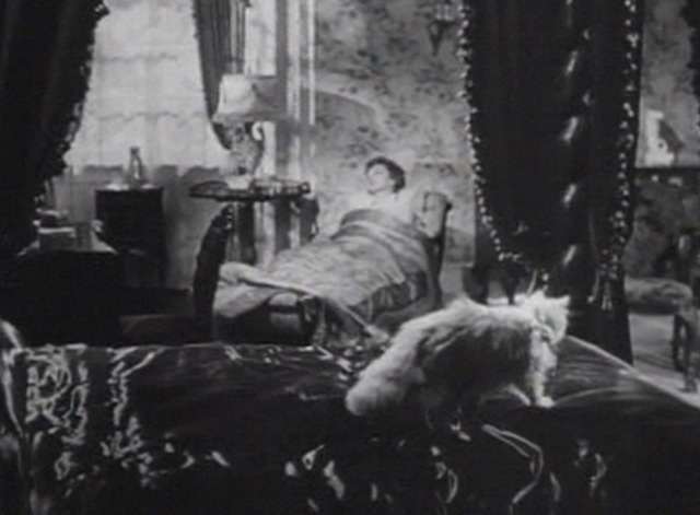 Tomorrow is Forever - white Angora cat Florence walks across bed