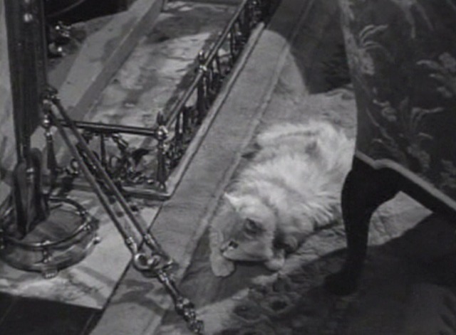 Tomorrow is Forever - white Angora cat Florence on floor by fallen poker