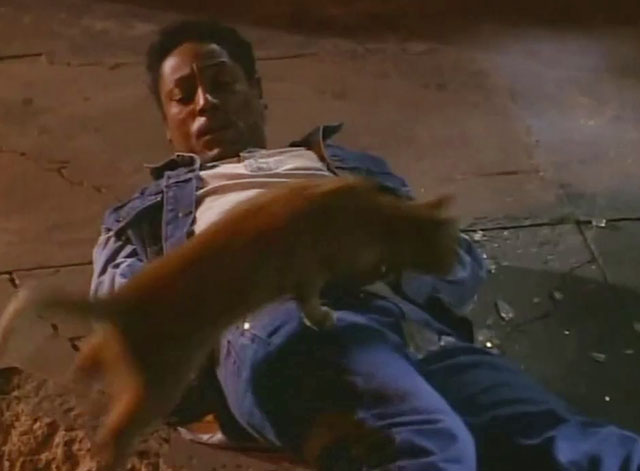 Tomorrow Man - ginger tabby cat running over Jonathan Giancarlo Esposito